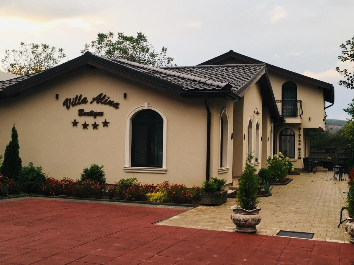 Villa Boutique Alina Deva Bagian luar foto